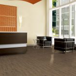 jual Pine Oak Bronze Armstrong TP034