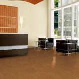 jual Nouveau Maple Honey Armstrong TP042