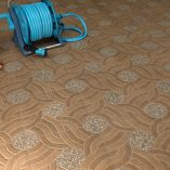 jual dPave Roman Bruno G360218