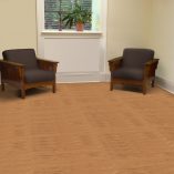 jual Solano Maple Sweet Sap Armstrong NA171