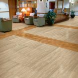 jual Delicato Neutral Armstrong NC529