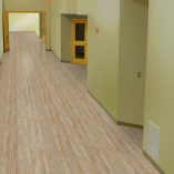 jual Delicato Ochre Armstrong NC530