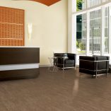 jual Nouveau Maple Natural Gray Armstrong TP043