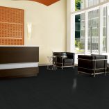 jual Nouveau Maple Black Armstrong TP044