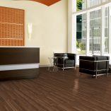 jual Fruitwood Buckwheat Armstrong TP072