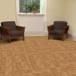 jual Strand Cork Champagne Brown Armstrong TP746