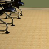 jual Gibraltar Gold Armstrong LS470